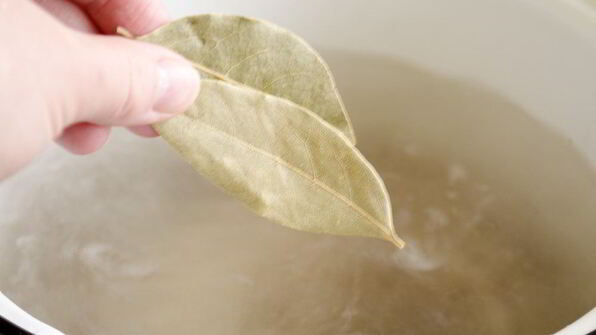 домашняя уха из пангасиуса