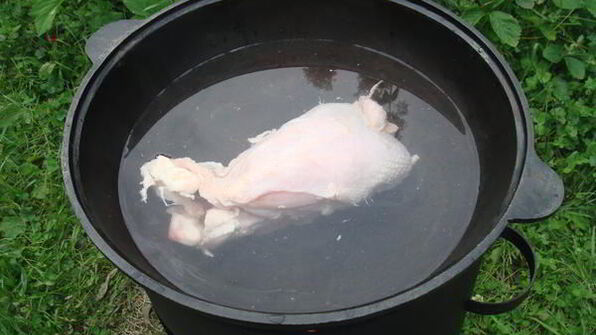 уха из карпа по-царски