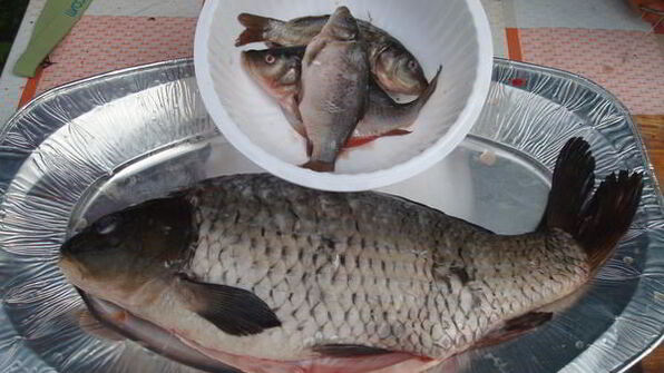 уха из карпа по-царски