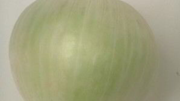 уха из карпа