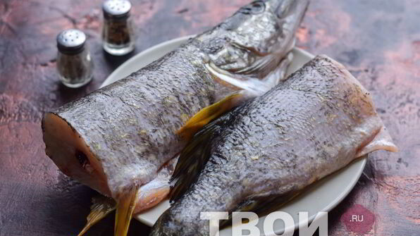 уха из щуки