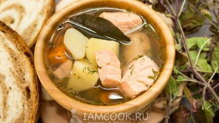 Уха из семги