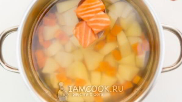 уха из семги