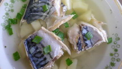 Уха из скумбрии