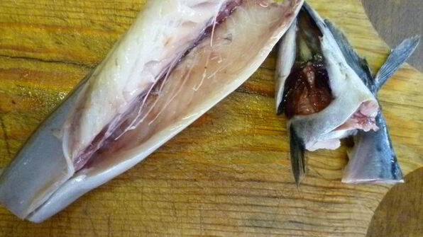 уха из скумбрии