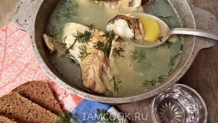 Уха из судака по-рыбацки