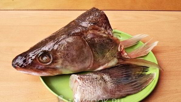 уха из судака по-рыбацки