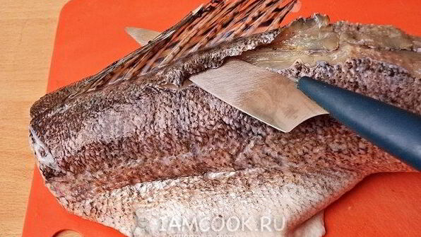 уха из судака по-рыбацки