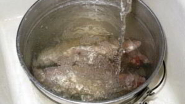 уха на природе