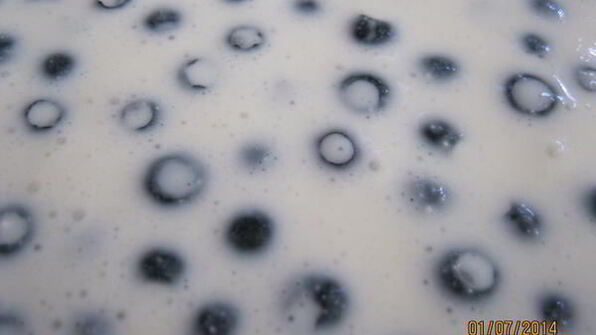 чизкейк с черникой без выпечки