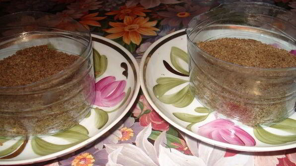 свекольный чизкейк с форелью