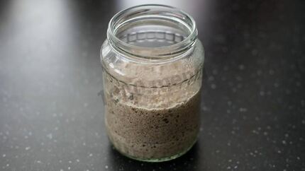 Ржаная закваска для хлеба