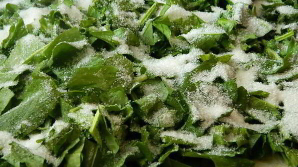 дрожжевой пирог с щавелем