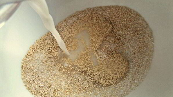 сырный пирог-рулет