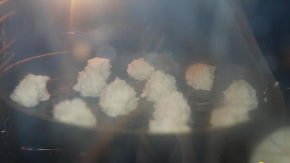 кокосовые пирожные