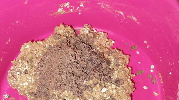 коврижки из цельнозерновой муки с овсянкой и шоколадом