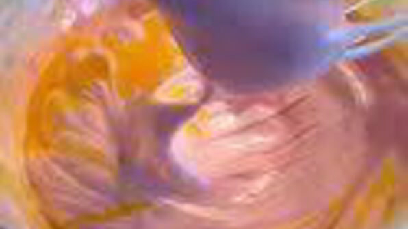 шарлотка с запеченным ревенем, баварским фисташковым кремом и клубникой