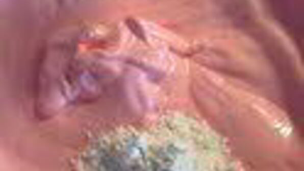 шарлотка с запеченным ревенем, баварским фисташковым кремом и клубникой