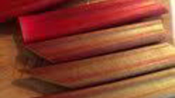 шарлотка с запеченным ревенем, баварским фисташковым кремом и клубникой