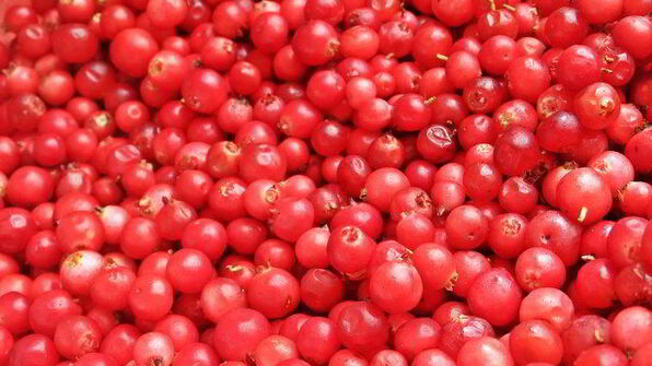 ягодный творожник без муки