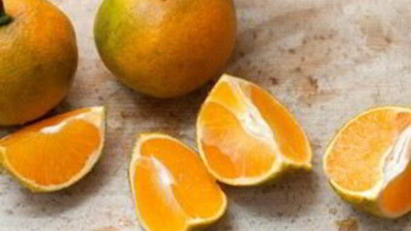 мандариновый торт