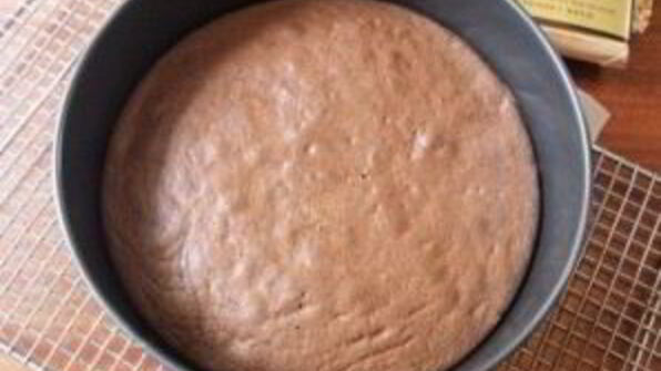 шоколадный торт с черносливом и орехами