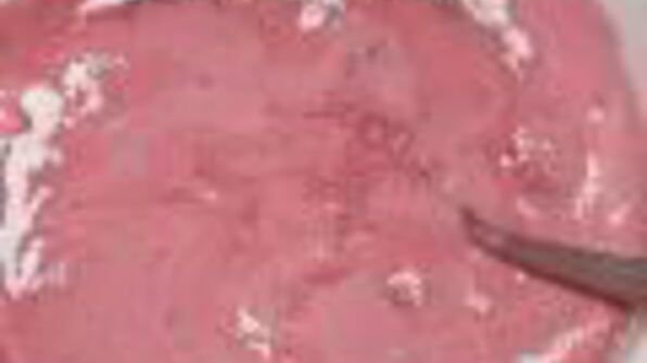 свекольный торт с морковными и тыквенными чипсами