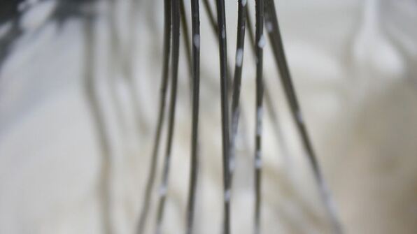 торт бисквитная смородинка со сливками