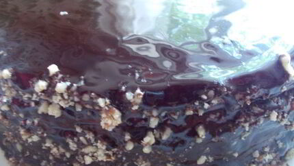 Торт с изюмом, орехами и маком