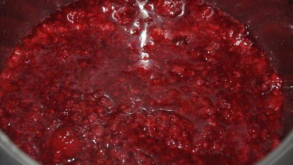 тыквенно-шоколадный торт-купол с малиновым желе