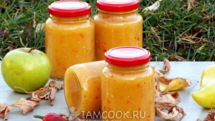 Аджика из кабачков с яблоками на зиму