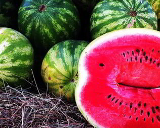 Готовим джем из арбуза