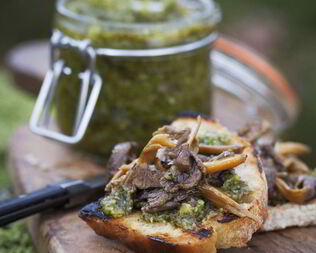 Икра из груздей