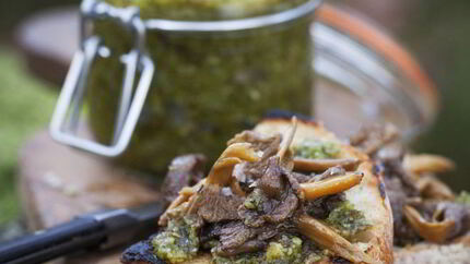 Икра из груздей