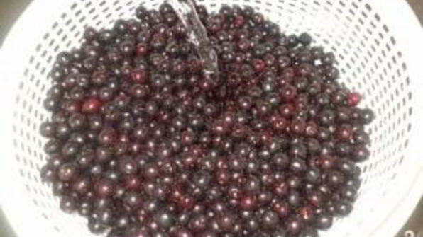 компот из черемухи