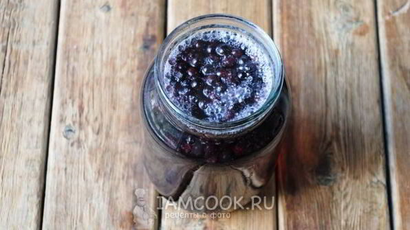 компот из черники