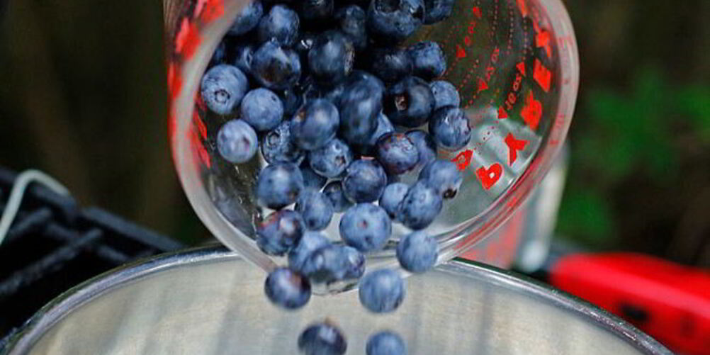 Рецепт компота из голубики