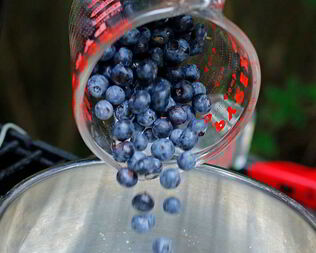 Компот из голубики