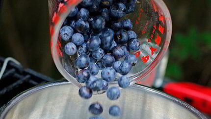 Компот из голубики