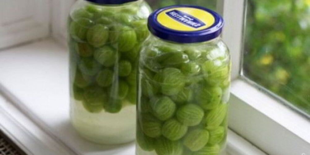 Рецепт компота из крыжовника