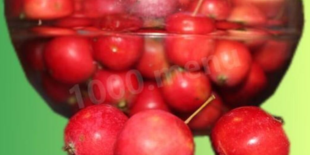 Рецепт компота из ранеток черноплодной рябины