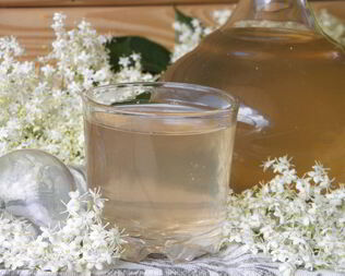Компот из цветков бузины