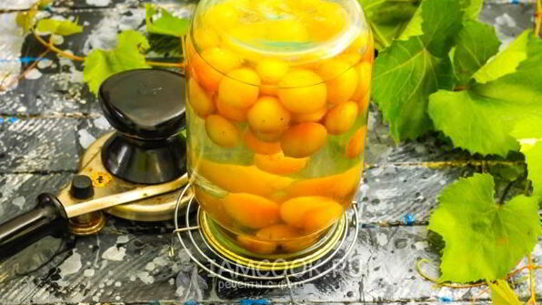 компот из винограда с косточками на зиму