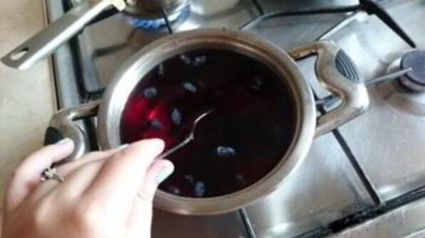 компот из жимолости