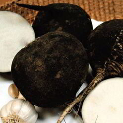 Квашеная редька