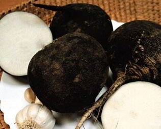 Квашеная редька