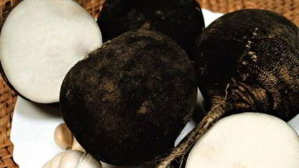 Квашеная редька