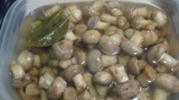 грибочки маринованные рождественские