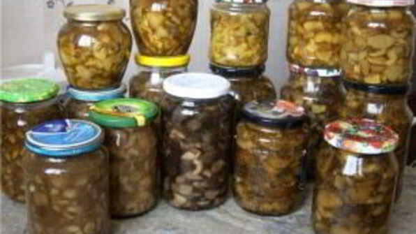 маринованные белые грибы без стерилизации