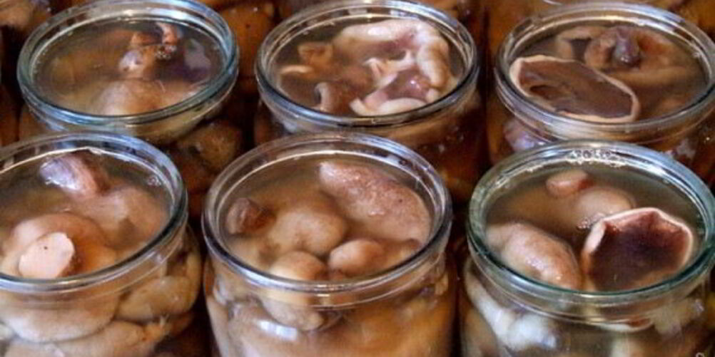 Рецепт маринованных маслят